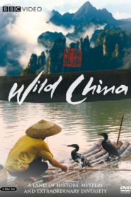 Wild China
