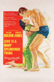 Love Is a Many-Splendored Thing