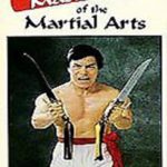 Amazing Masters Of Martial Arts