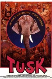 Tusk