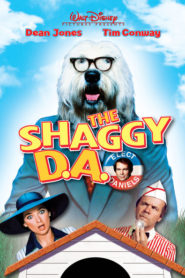 The Shaggy D.A.