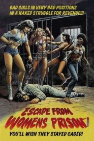 Escape from Women’s Prison