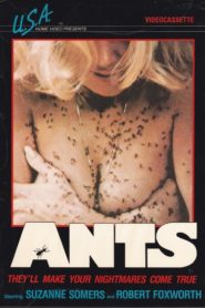 Ants