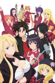 UQ Holder!