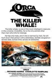 Katil Balina Orca