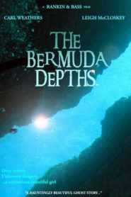 The Bermuda Depths