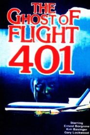 The Ghost of Flight 401