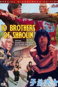 10 Brothers of Shaolin
