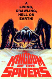 Kingdom of the Spiders