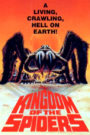 Kingdom of the Spiders