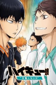 Haikyuu!! Movie 3: Sainou to Sense