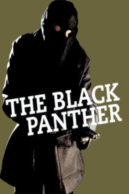 The Black Panther