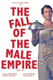 Le déclin de l’empire masculin