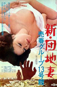 Shin danchizuma: Baishun gurupu 13-gokan