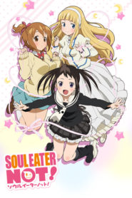 Soul Eater Not!