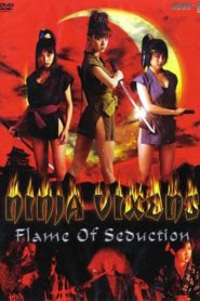 Ninja Vixens: Flame of Seduction