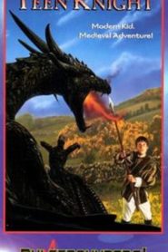Teen Knight