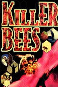 Killer Bees