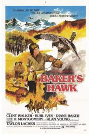 Baker’s Hawk