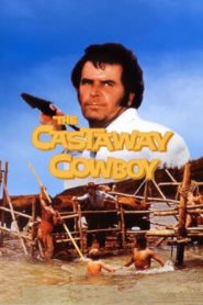 The Castaway Cowboy