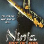Ninja Fist of Fire
