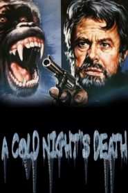 A Cold Night’s Death