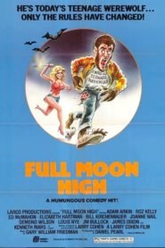 Full Moon High