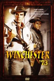 Winchester 73