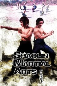 Shaolin Martial Arts