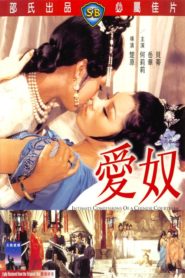 Intimate Confessions of a Chinese Courtesan