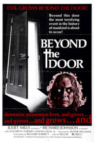 Beyond the Door