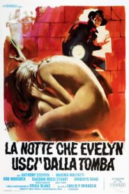 The Night Evelyn Came Out of the Grave