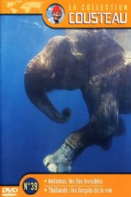 La collection Cousteau N°39-1 – Andaman, les îles invisibles
