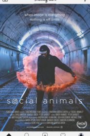 Social Animals