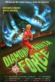 Diamond Ninja Force