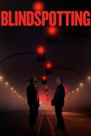 Blindspotting