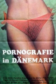 Pornography in Denmark