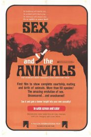 Sex and the Animals