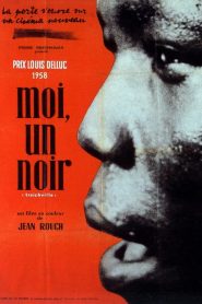Moi, un Noir
