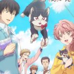 My Roommate Is a Cat