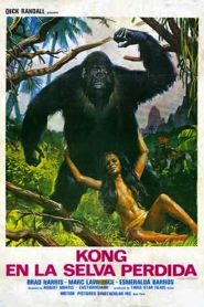 King of Kong Island