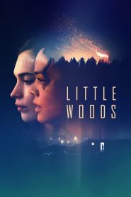 Little Woods