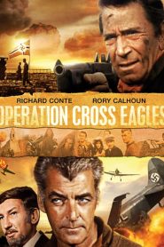 Operation Cross Eagles